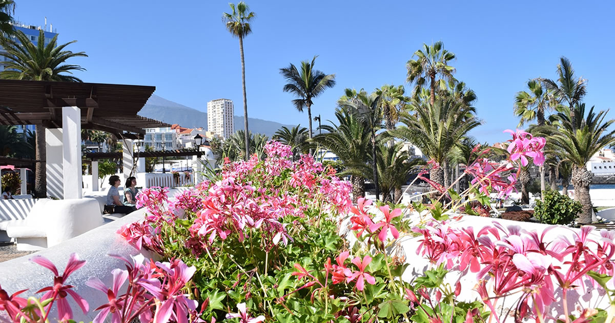 Best Time To Visit Tenerife When To Go For Your Perfect Holiday